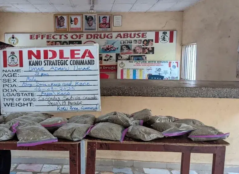 NDLEA-intercepts-cannabis-in-Kano
