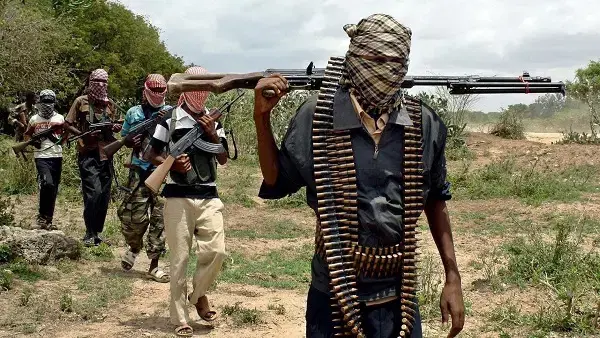 Armed-bandits in Zamfara